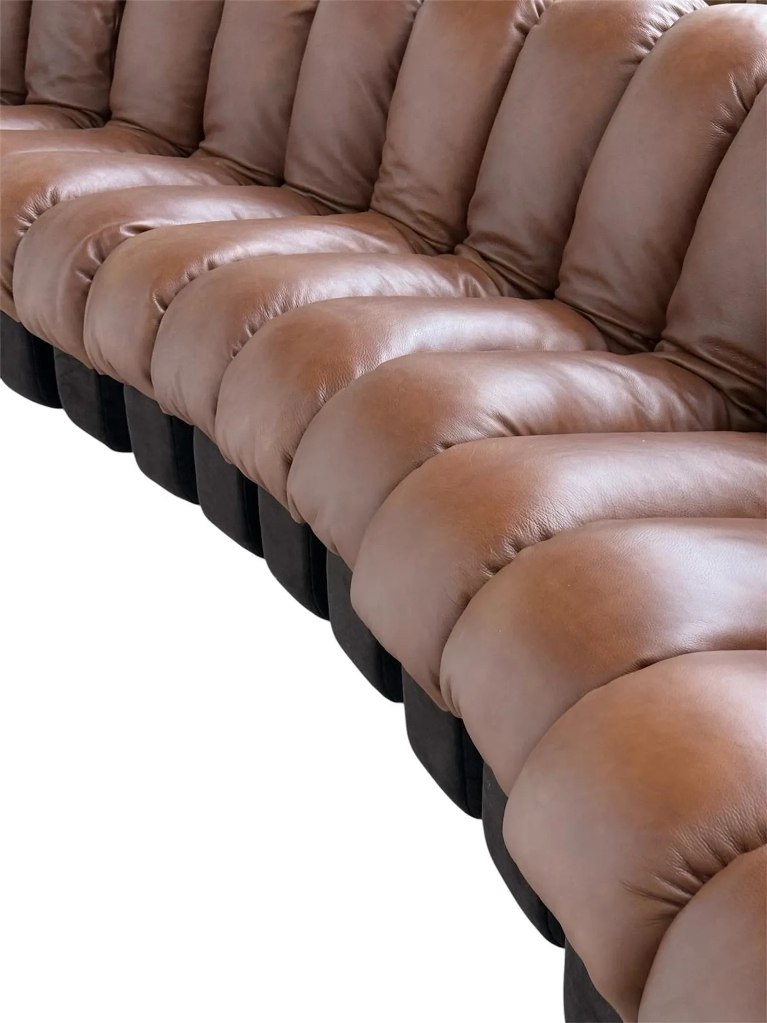 De Sede Ds600 Snake in cognac leather, 20 elements (in NEW CONDITION)!