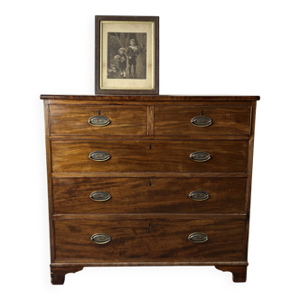 Antique early Victorian 1840–1860 large mahogany chest of drawers