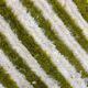 Handcrafted Berber rug in pure natural wool, size 150 x 250 cm