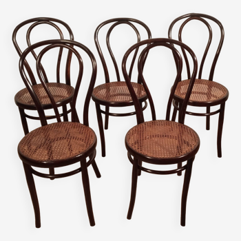 Chaises de salle à manger en hêtre courbé dans le style de thonet, set de 5