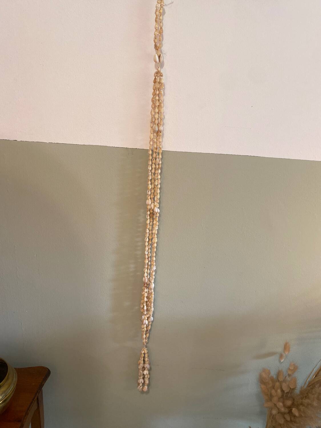 Shell plant holder