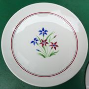 Duo de plats vintage
