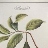 Botanical plank the avocado maker