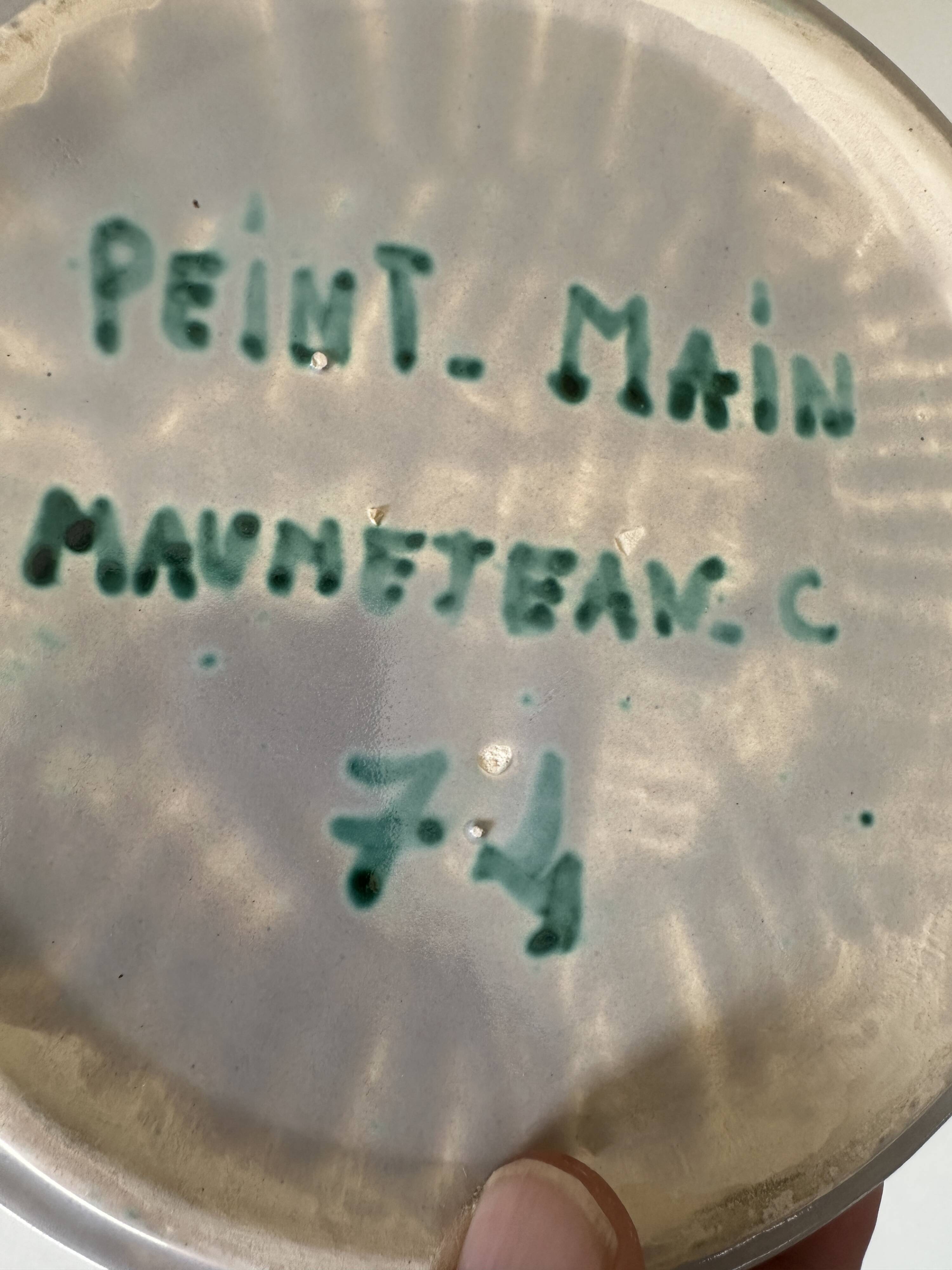 Vintage ceramic plate, 60s design