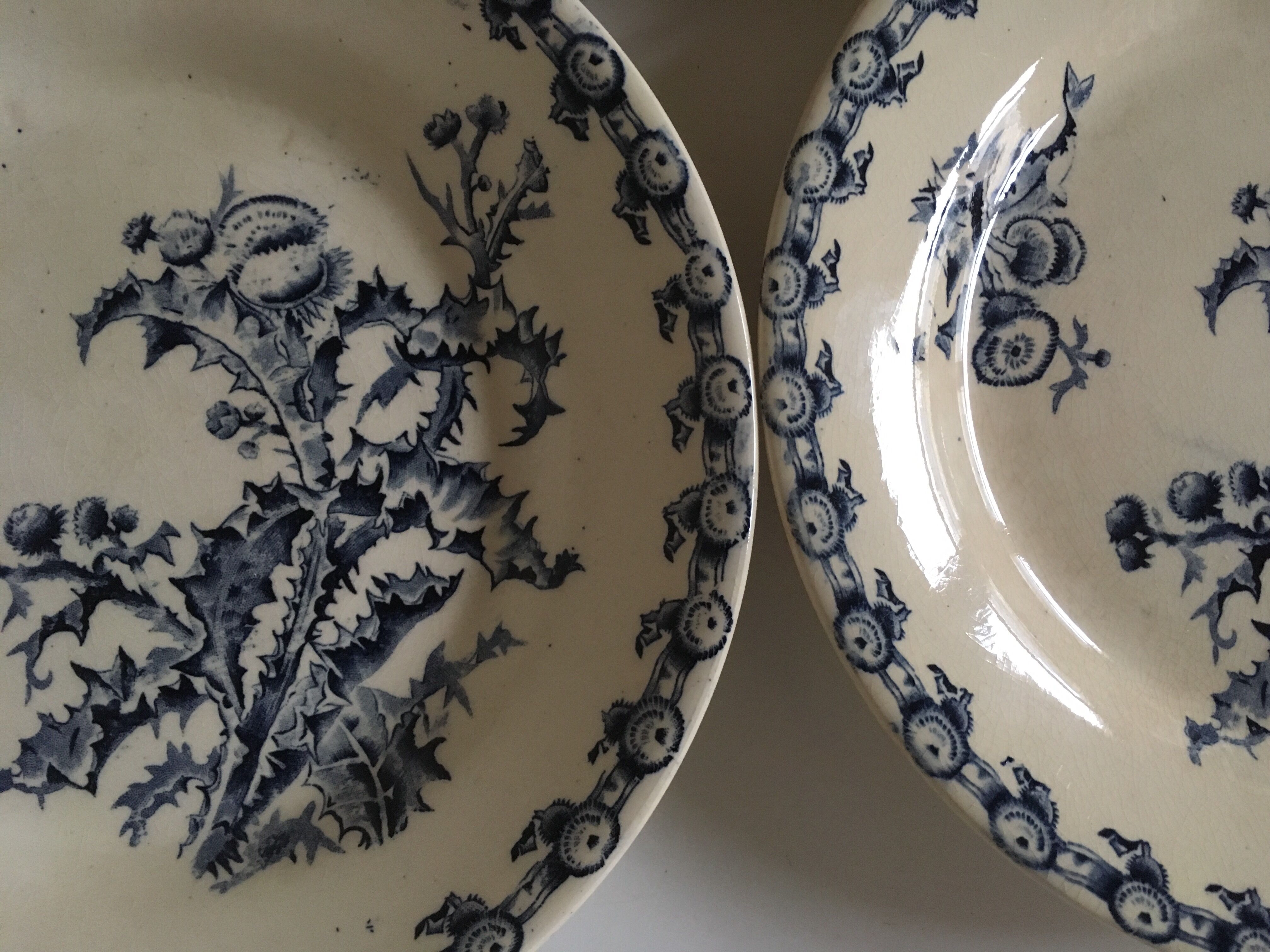 Plate faience of gien beginning 20th décor thistles