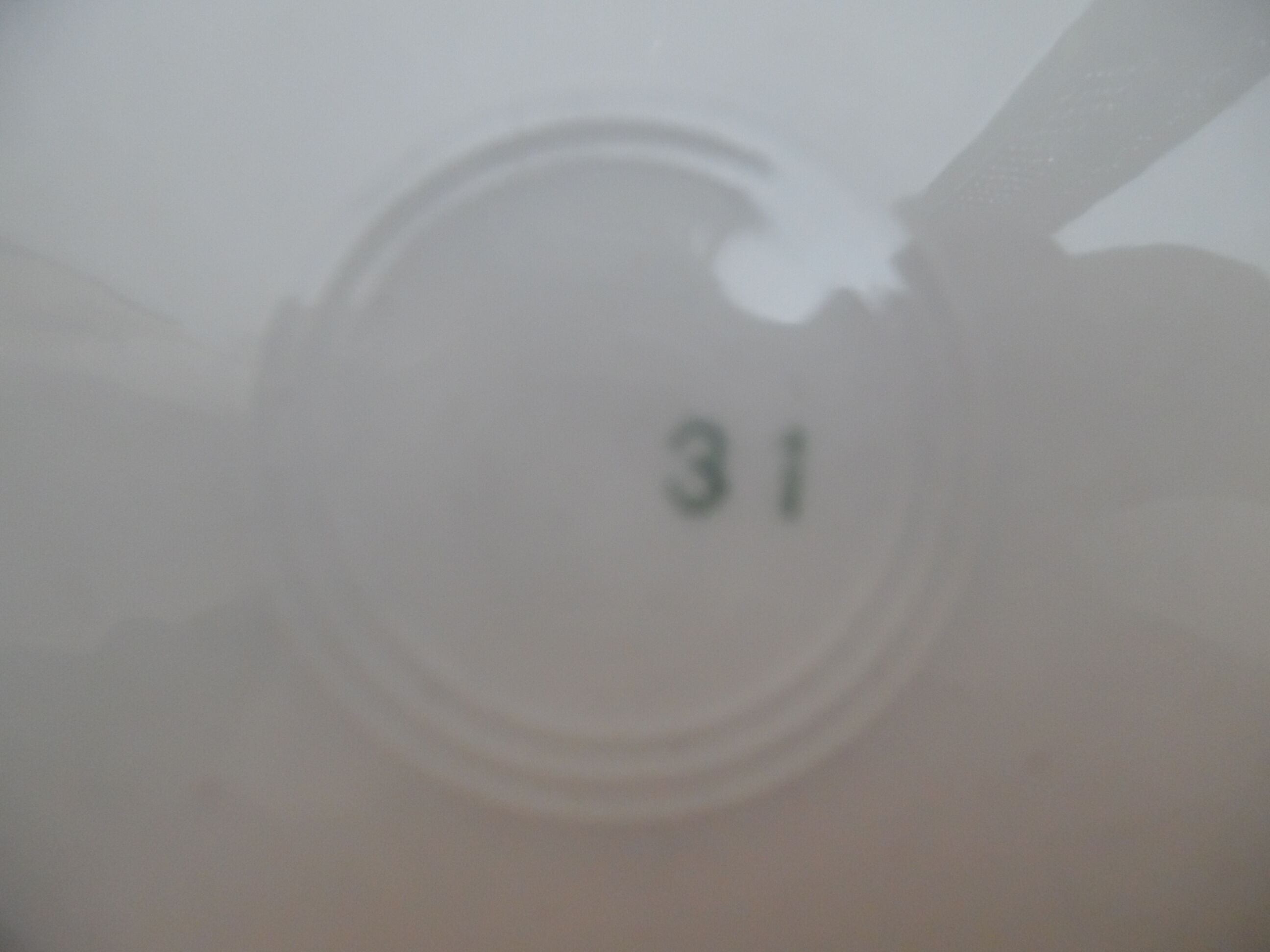 9 numbered dessert plates