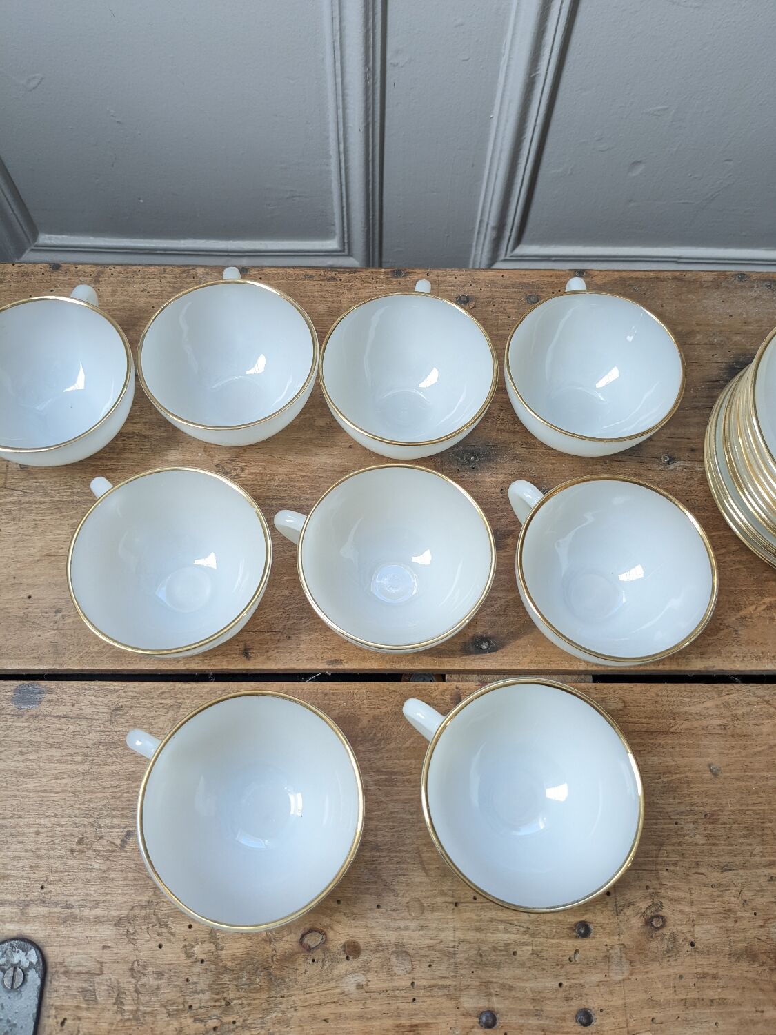 Opaline cups harlequin arcopal