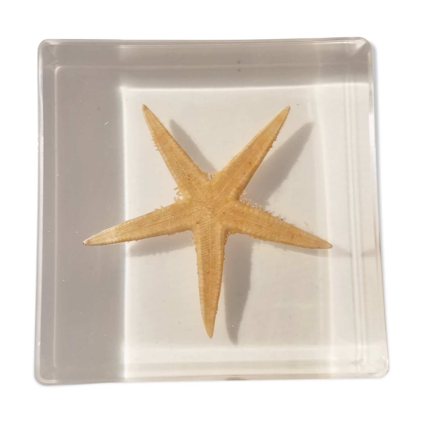 Starfish resin block