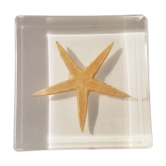 Starfish resin block