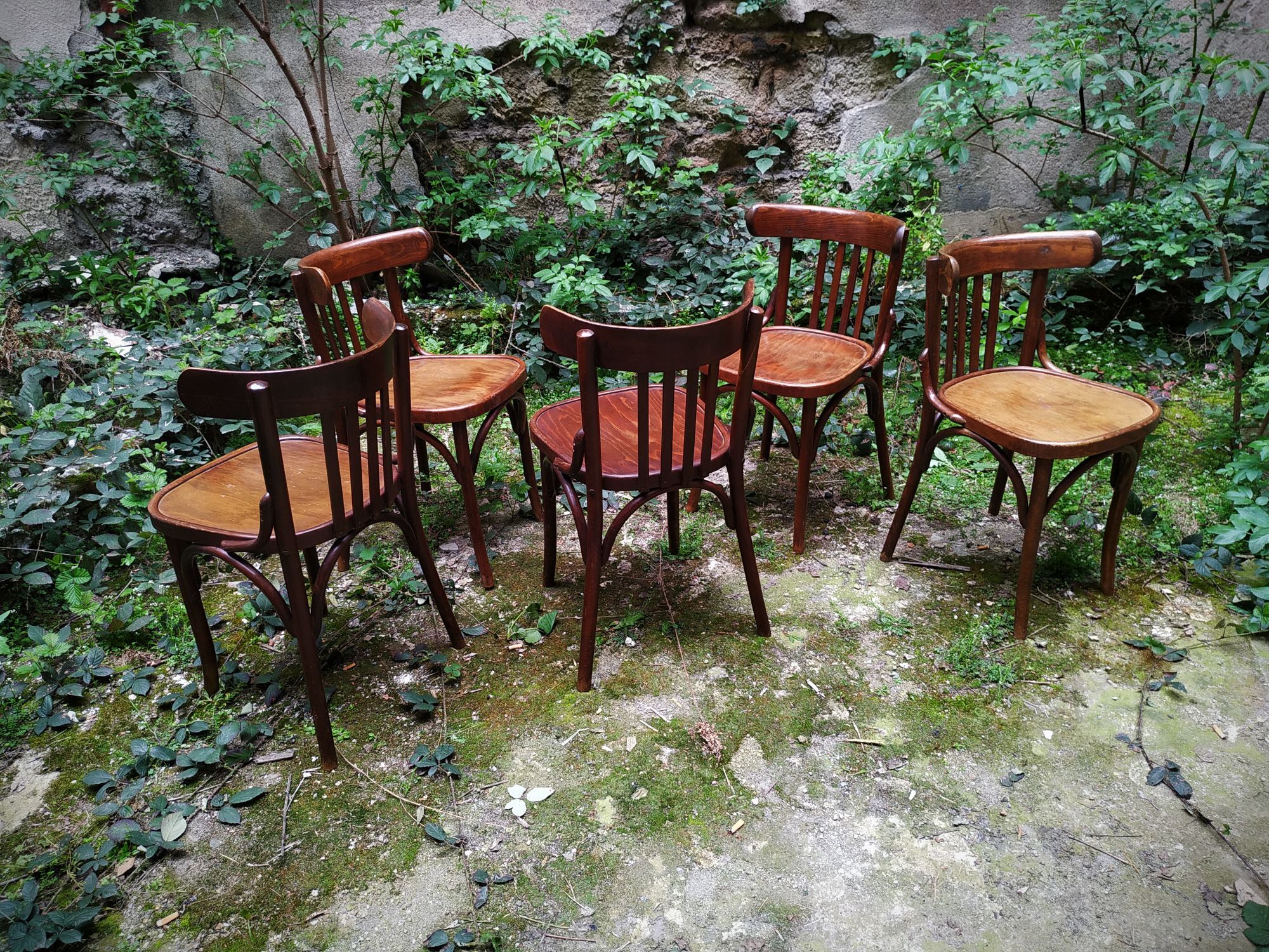 Series of five bistro chairs