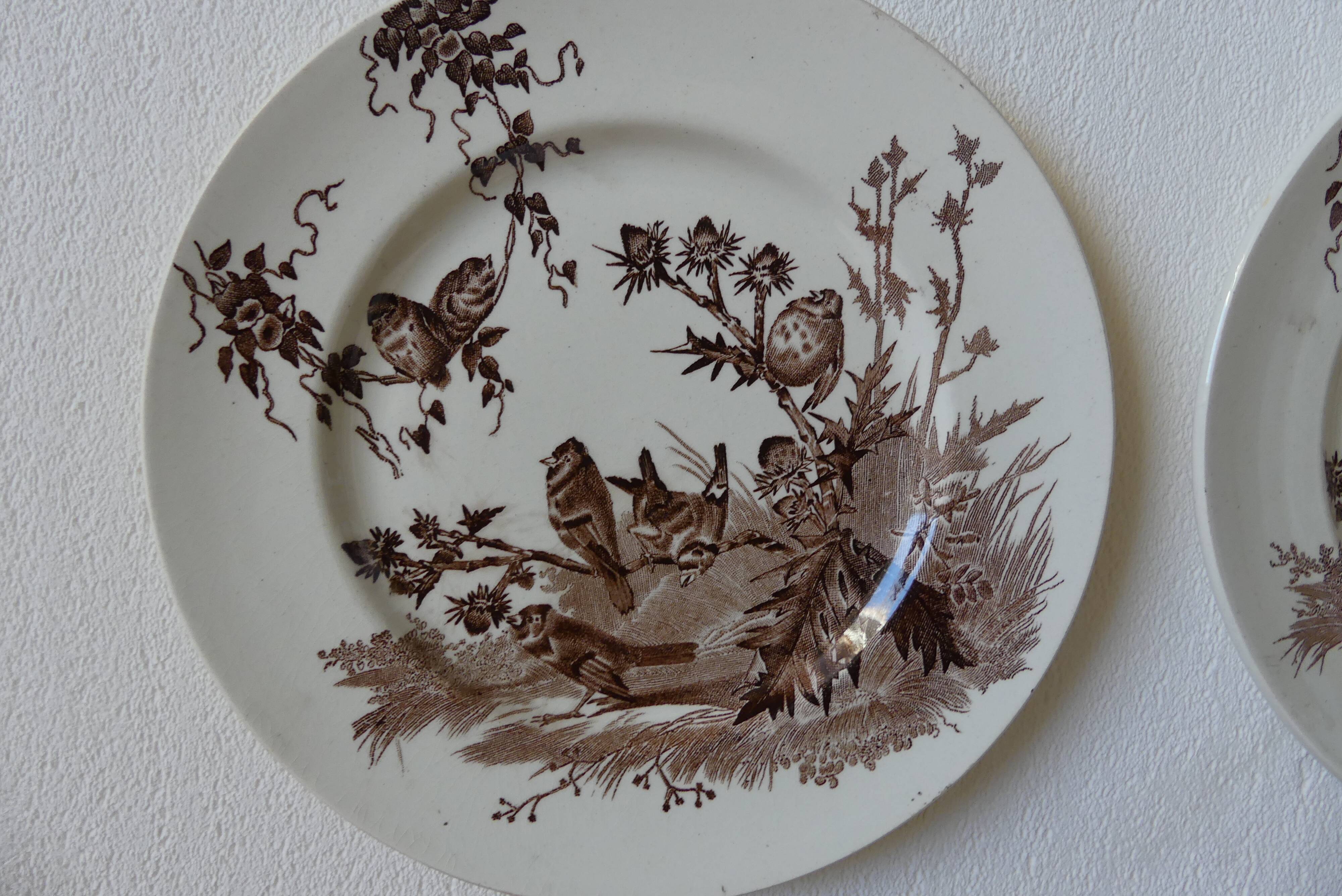 4 plates creil & montereau chardonnerets model with sepia birds decor