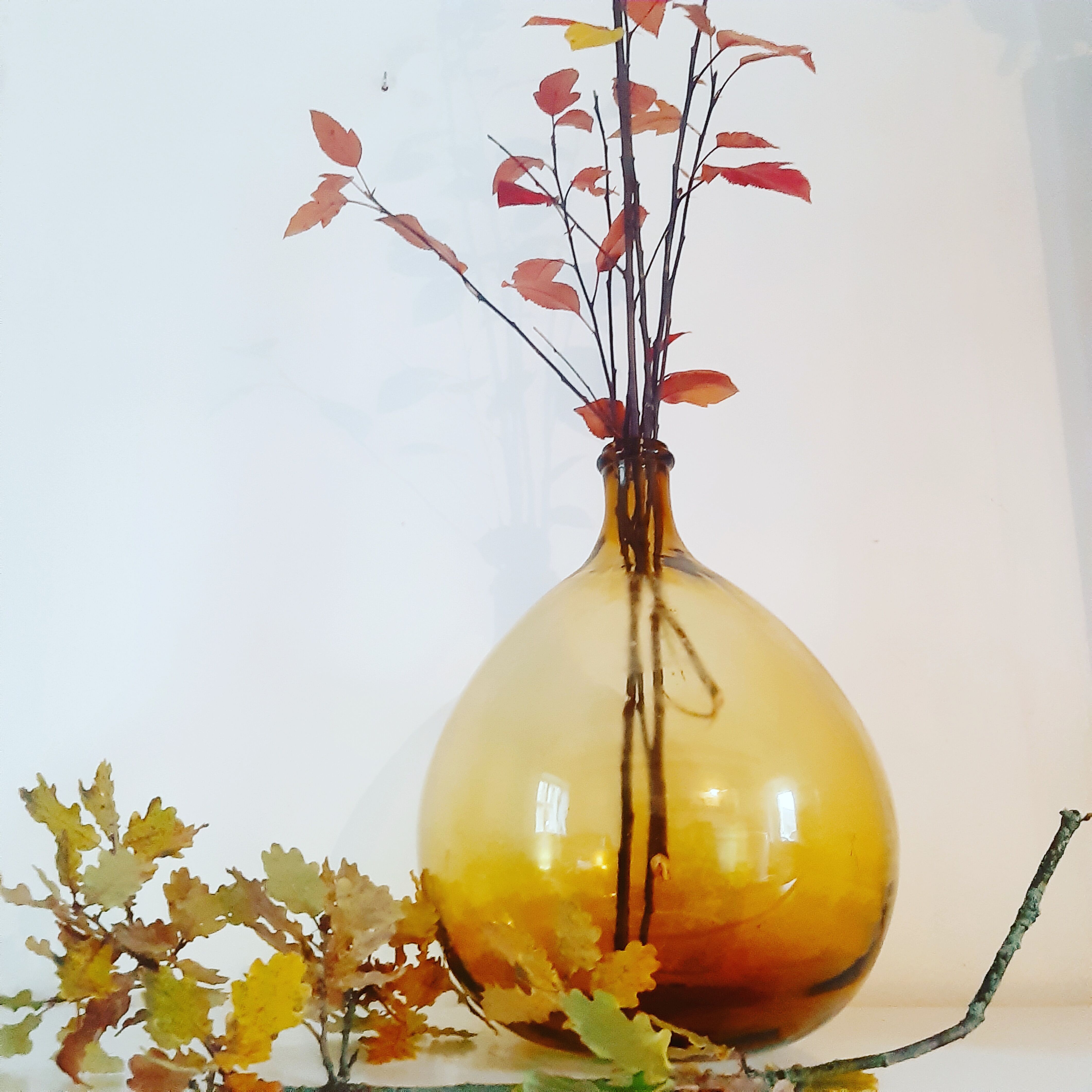 Demijohn of the 1950