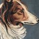 Original Vintage Dog Portrait Oil Painting, circa 1914