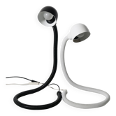 Duo of articulated lamps
