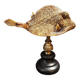 Cabinet of Curiosities naturalized fish tetrosomus concatenatus on base