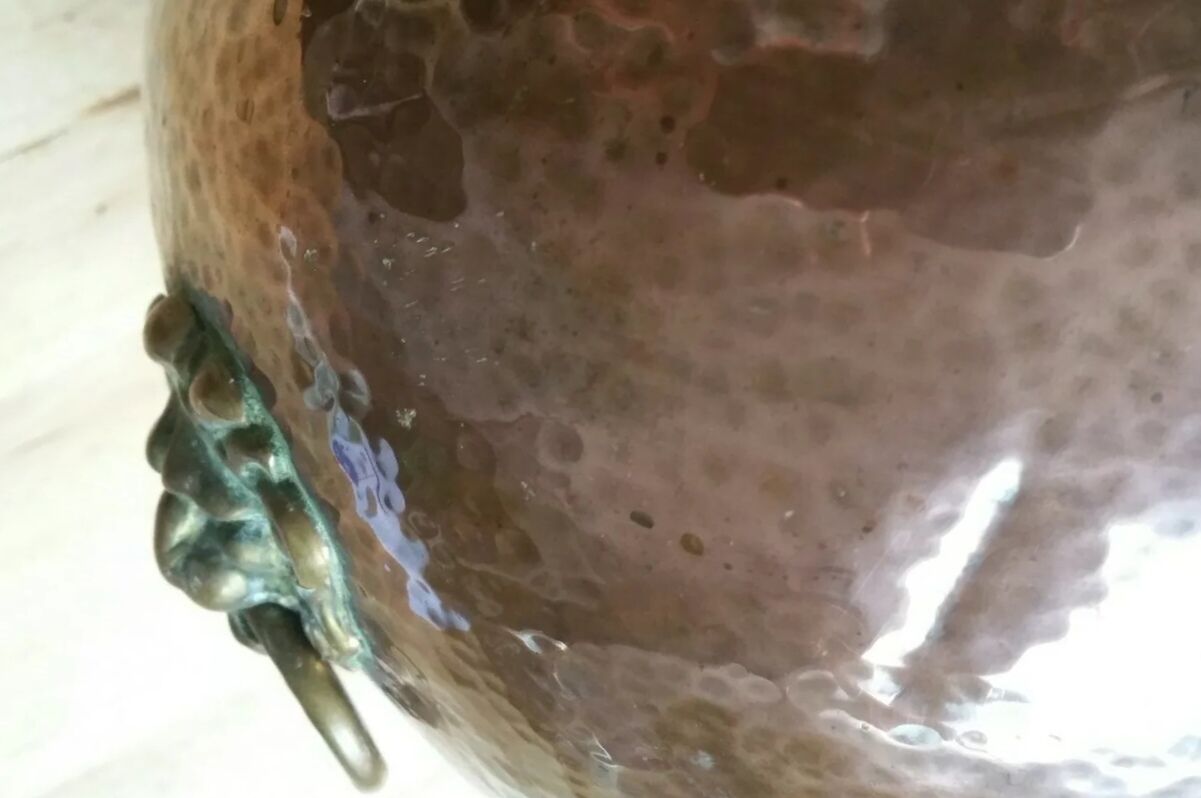 Copper lions head hide-and-seek