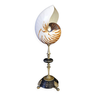 Nautil / Nautilus, Socle Laiton et Marbre Noir (XIXème) H: 36,5 cm |  PlaceOdd