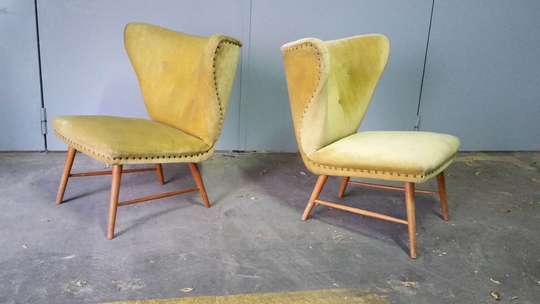 Yellow green trio of drivers at Danish flesh wing ears Elias Svedberg years 50/60