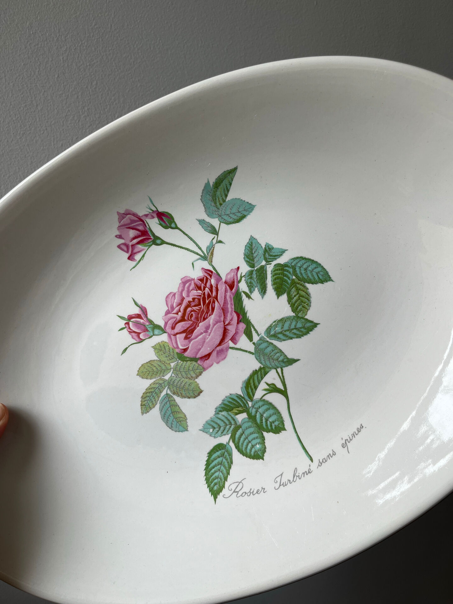 Plat faïence Salins - Rose de Redouté