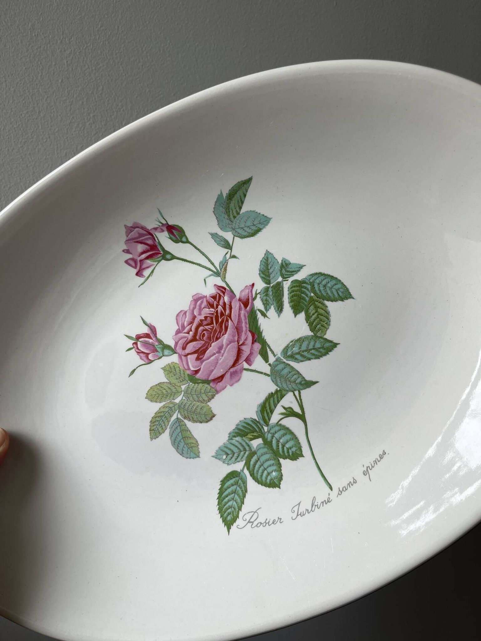 Plat faïence Salins - Rose de Redouté