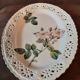 Barbotine style porcelain dish