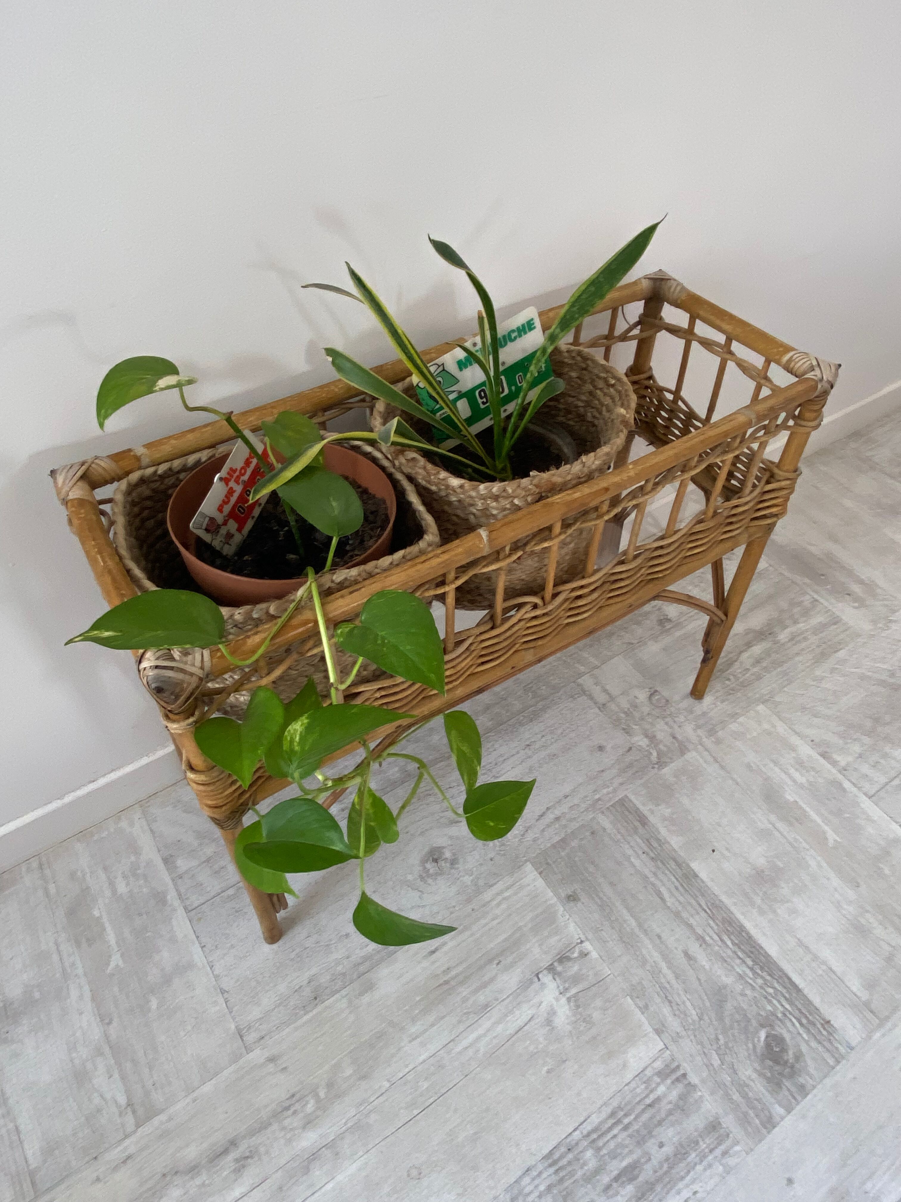 Rattan planter