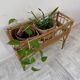 Rattan planter