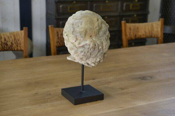 Sculpture of a head in reconstituted stone carved in the antique style of the 19th century