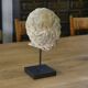 Sculpture of a head in reconstituted stone carved in the antique style of the 19th century
