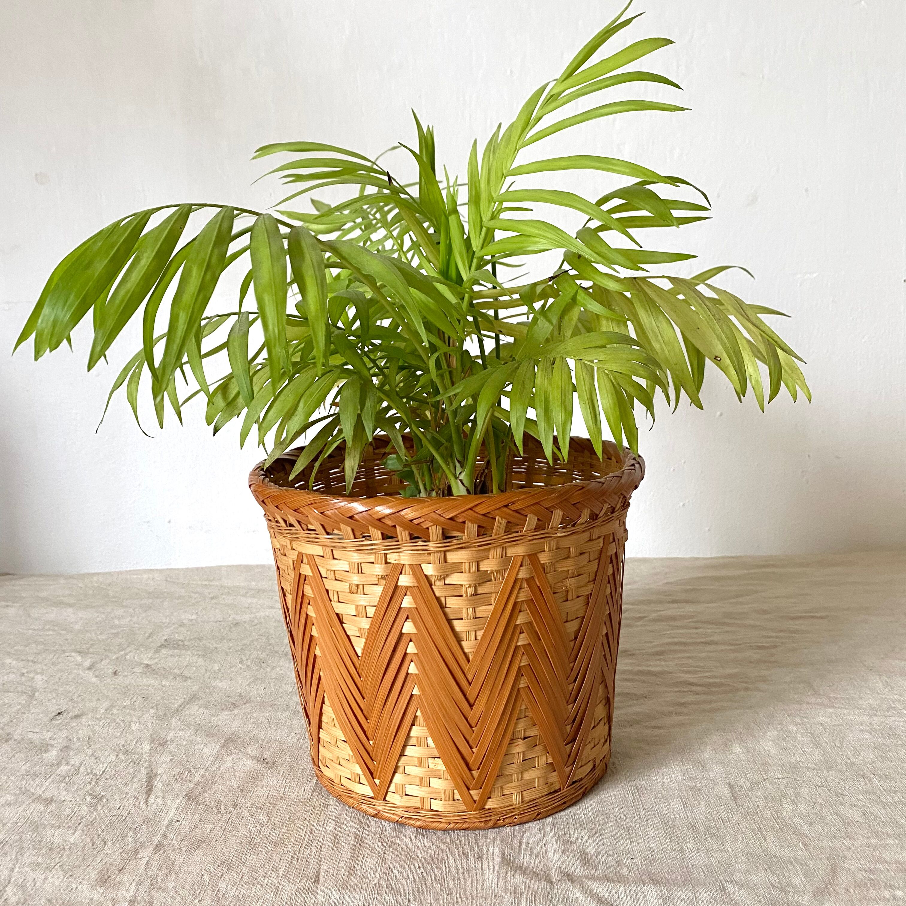 Vintage bamboo flowerpot