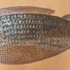 Ceramic fish dish signed R. Capron