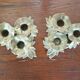 Pair of brass candlesticks decorated "flowers" 1970