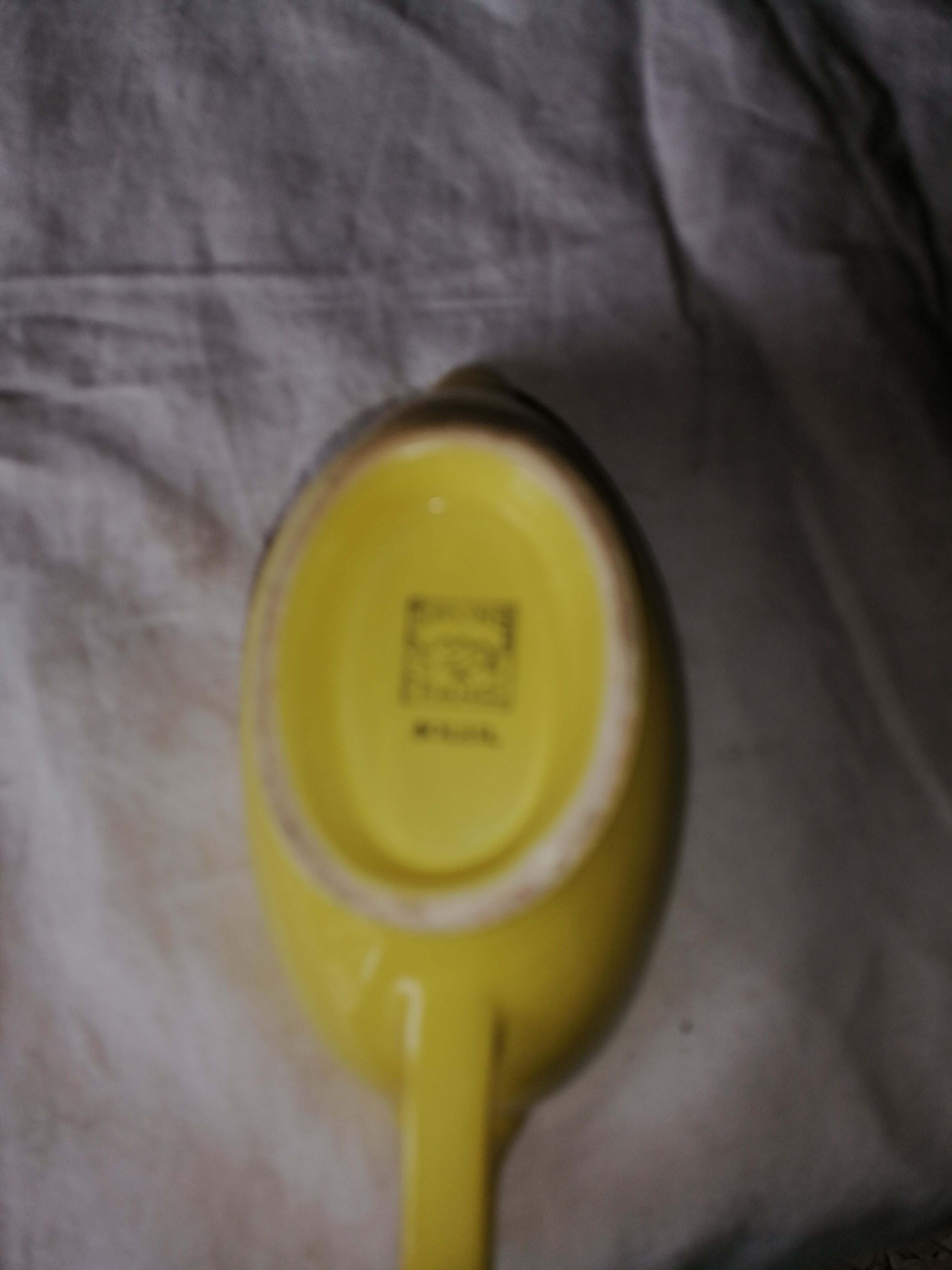 Saucère salins france soleil