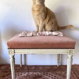 Louis XVI style stool, pink velvet