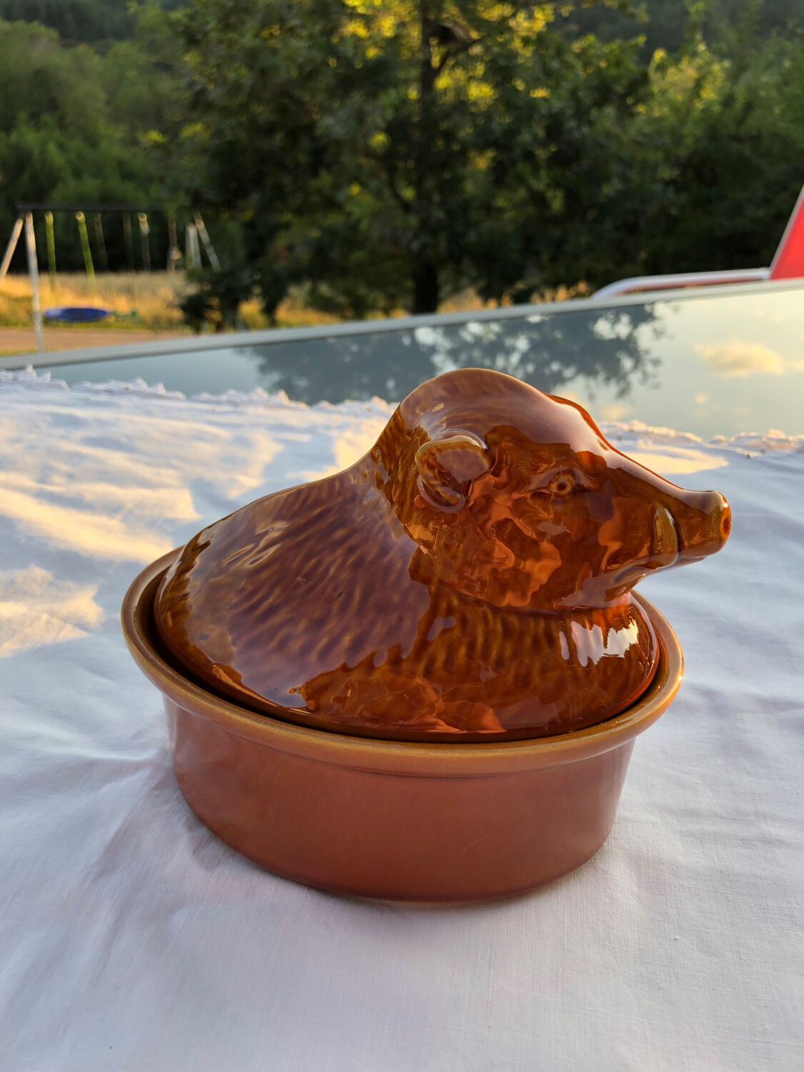 Terrine boar