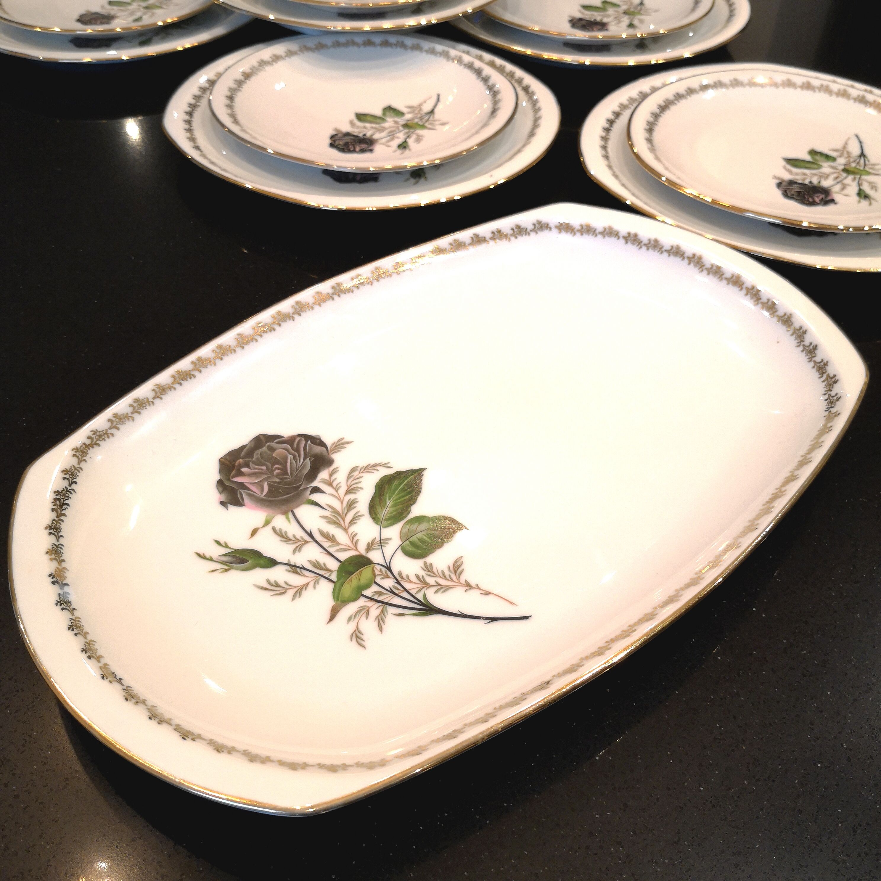 Service 16 porcelain plates from Limoges