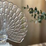 Crystal peacock book greenhouse