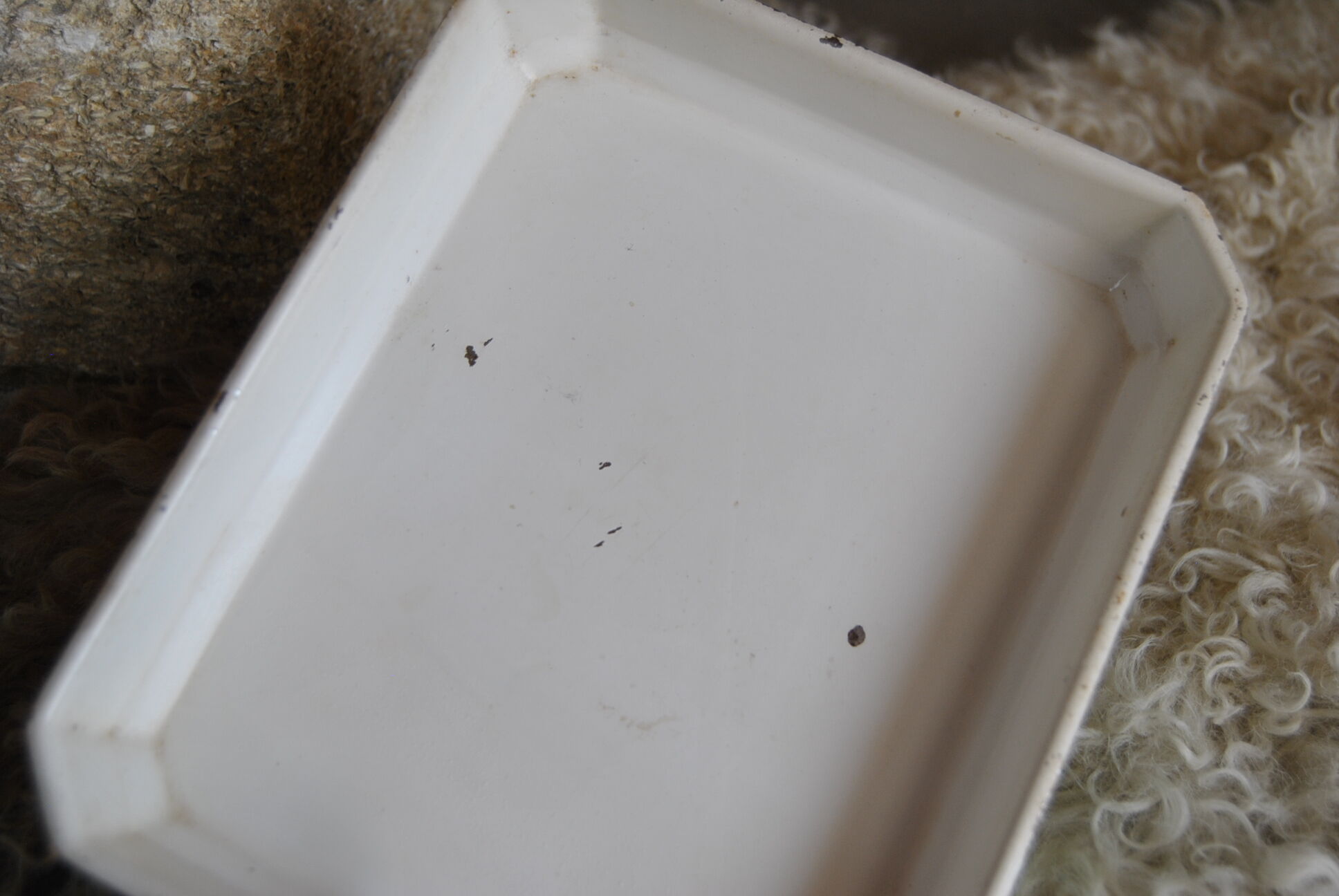 Household scale in water green metal Perca 50s