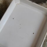 Household scale in water green metal Perca 50s