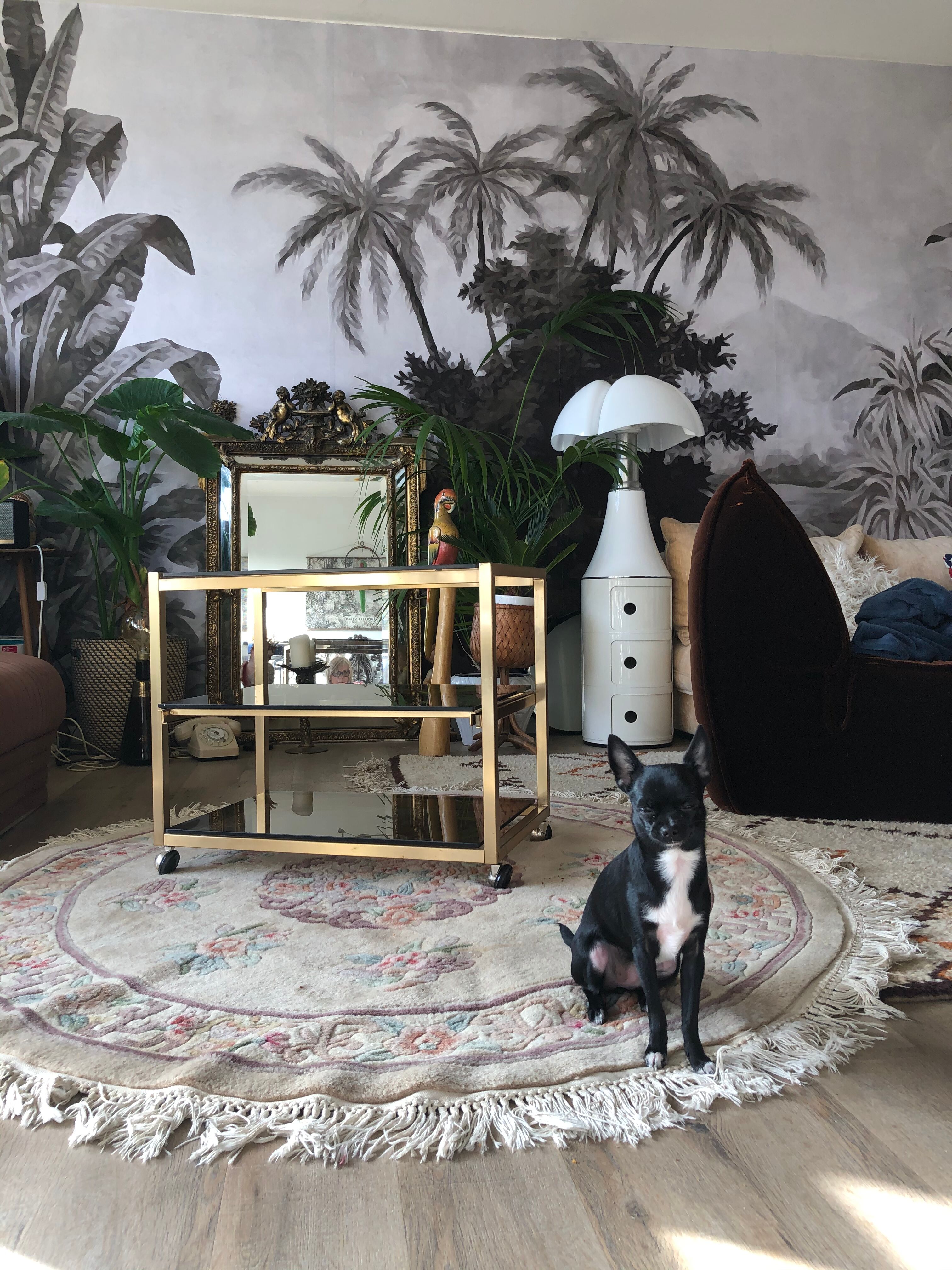 Brass coffee table and smoked glass