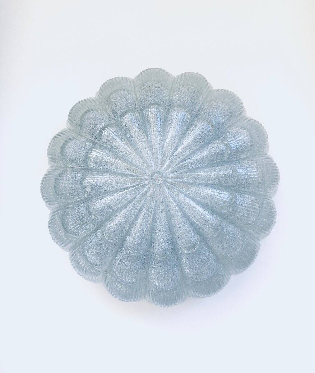 Large Frosted Flower Glass Sconce Wall Lamp from MCM, 1960s