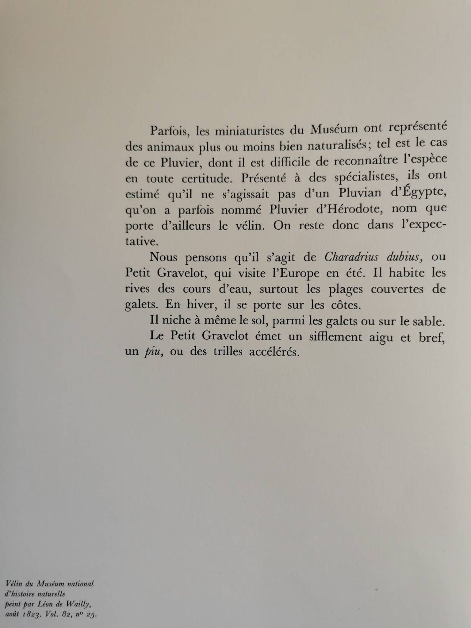 Planche zoologique