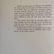 Planche zoologique