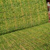 Pair of Czechoslovak armchairs green Jitona 1960