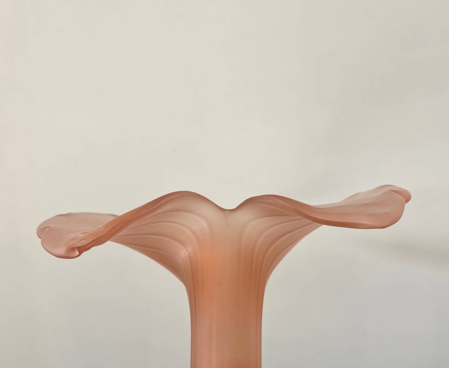 Leonardo vase in pink frosted glass