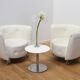 Pair of Maybe armchairs, Cotta
