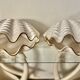 Paire de lampes en céramique nacrée en forme de coquillage, BON DÍA, années 60
