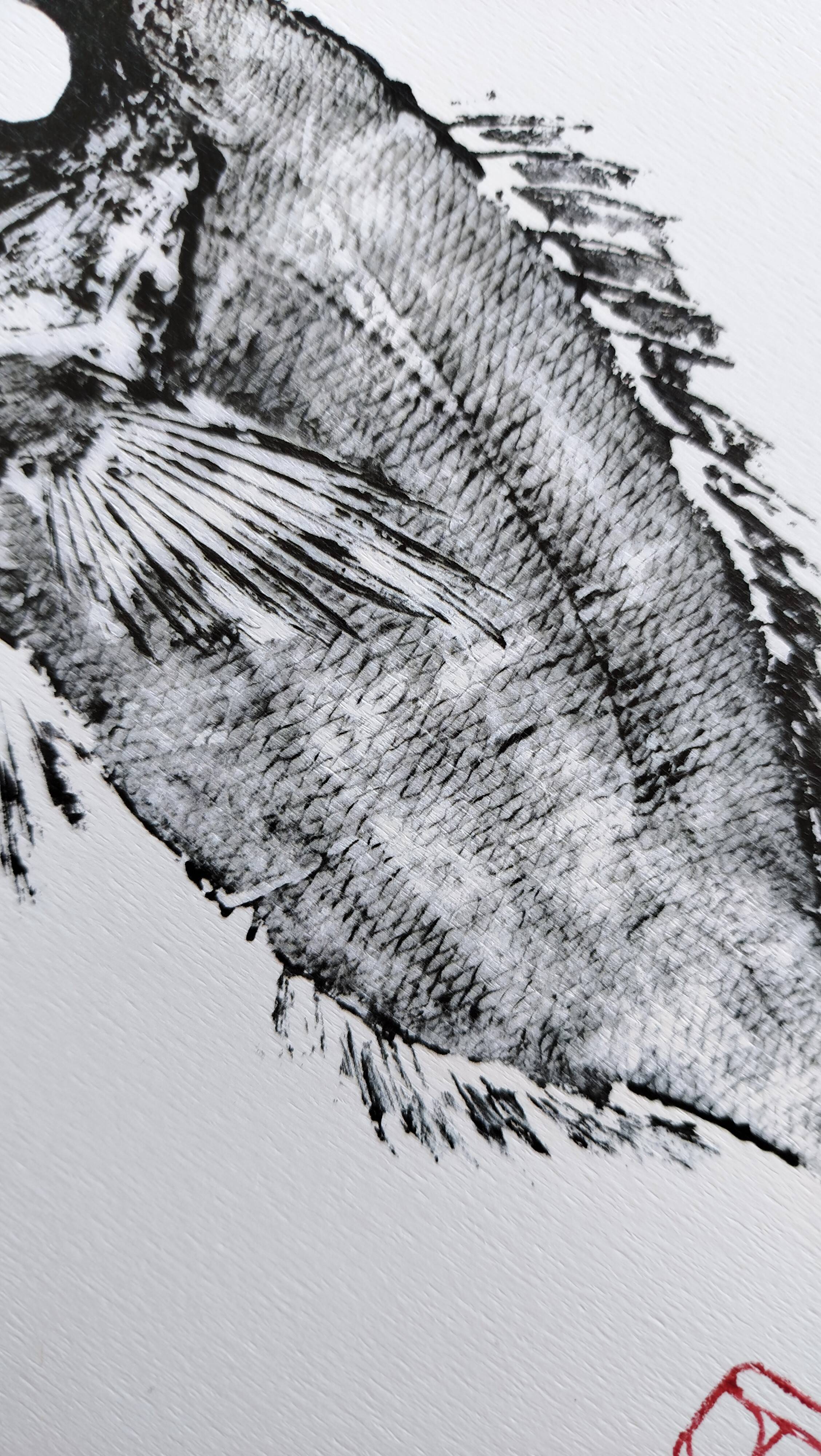 Impression d'art encadrée, "Estampe d'une dorade"