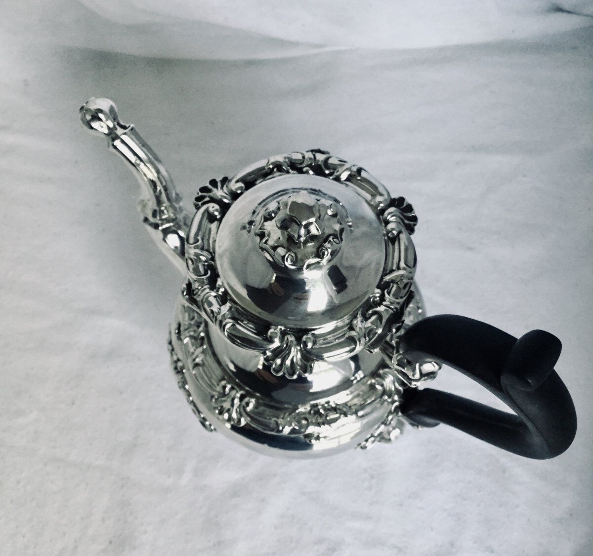Selfish teapot silver