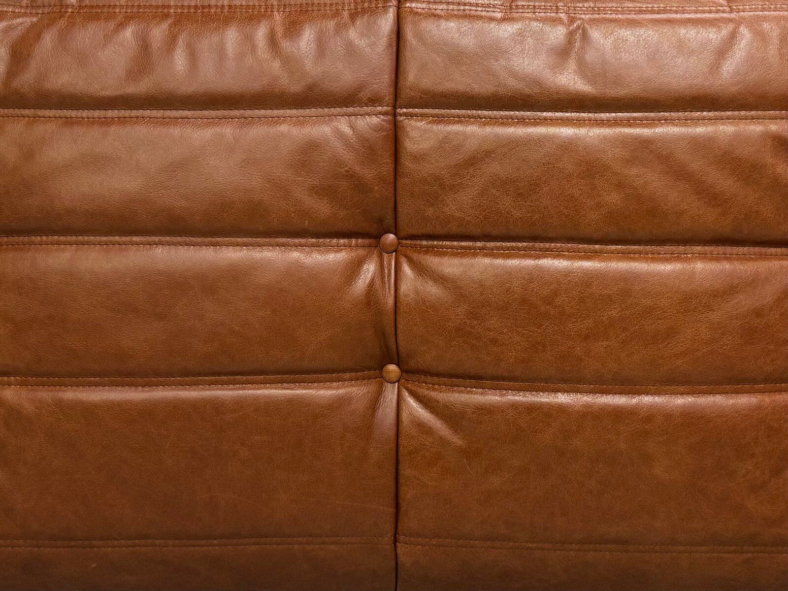 Togo sofa in cognac cowhide by Michel Ducaroy for Ligne Roset.